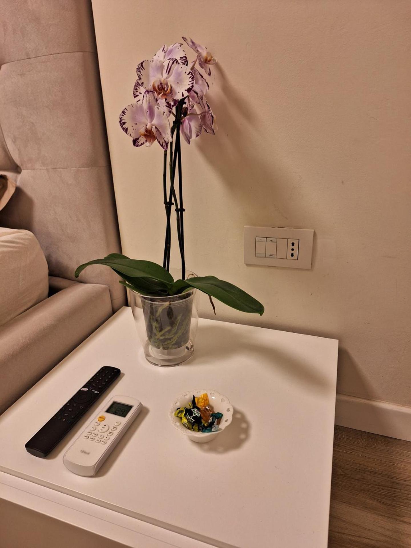 Appartement Il Colibri à Alghero Extérieur photo